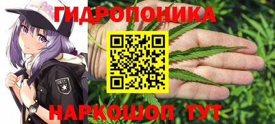 каннабис Дубна