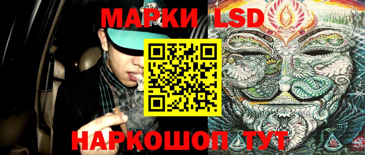 как найти наркотики  Вход с VPN  Новозыбков  Марки 25I-NBOMe 1500мкг 