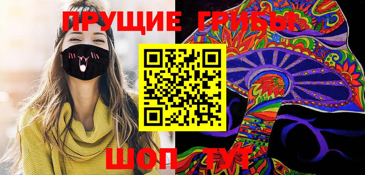 купить   Псилоцибиновые грибы Magic Shrooms  Вход с VPN  Новозыбков 