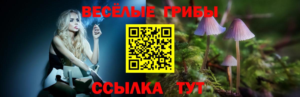 Галлюциногенные грибы MAGIC MUSHROOMS Новозыбков