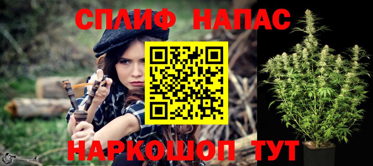 Бошки Шишки гибрид Новозыбков